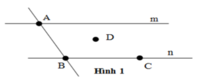 Trắc nghiệm: Điểm. Đường thẳng - Bài tập Toán lớp 6 chọn lọc có đáp án, lời giải chi tiết