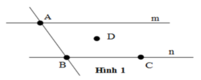 Trắc nghiệm Chương 1 phần Hình học Toán 6 - Bài tập Toán lớp 6 chọn lọc có đáp án, lời giải chi tiết