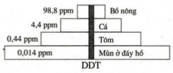 Trắc nghiệm Sinh học 12 Bài 1 (có đáp án): Gen, mã di truyền và quá trình nhân đôi ADN