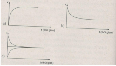 Giải sách bài tập Hóa học 10 | Giải sbt Hóa học 10