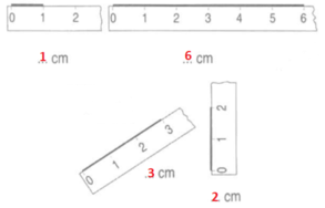 Vở bài tập Toán lớp 1 Bài 83: Xăng-ti-mét. Đo độ dài | Hay nhất Giải VBT Toán 1