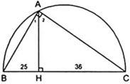 Bài tập: Các trường hợp đồng dạng của tam giác vuông | Lý thuyết và Bài tập Toán 8 có đáp án