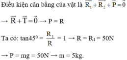  20 câu trắc nghiệm Tổng hợp và phân tích lực - Điều kiện cân bằng của chất điểm cực hay có đáp án (phần 2) 